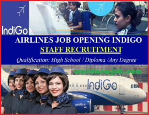 Indigo Airline Careers Vacancy in India 